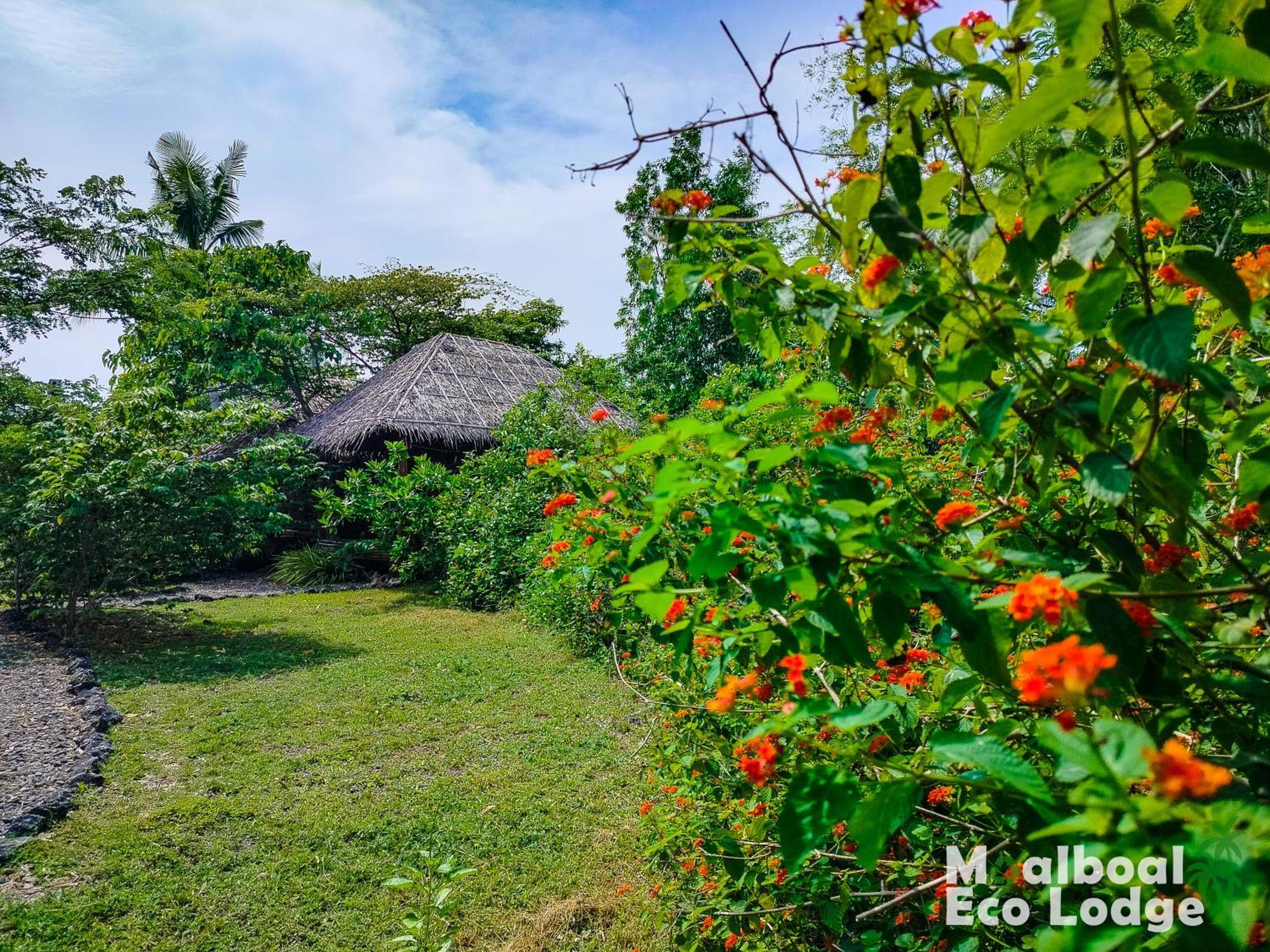 Moalboal Eco Lodge Εξωτερικό φωτογραφία