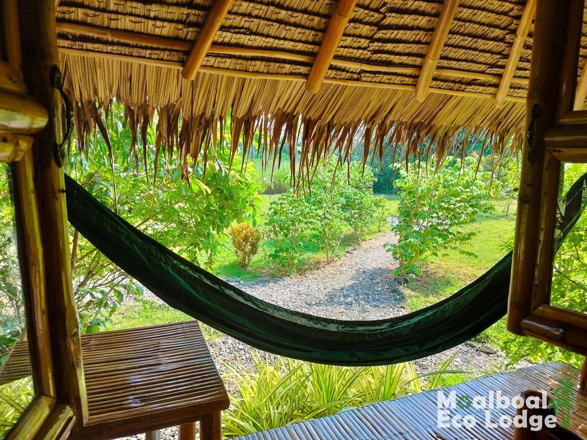 Moalboal Eco Lodge Εξωτερικό φωτογραφία