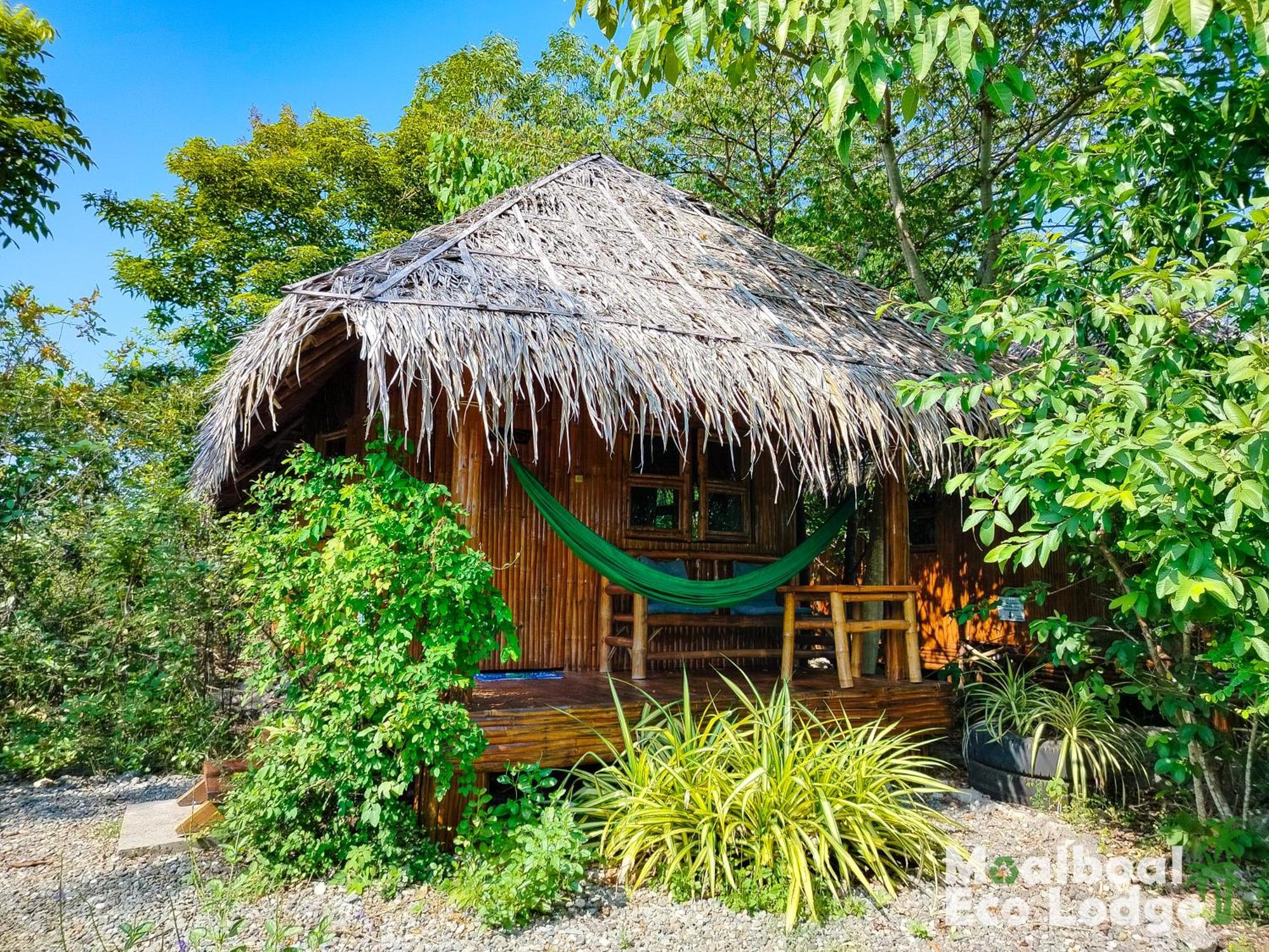 Moalboal Eco Lodge Εξωτερικό φωτογραφία