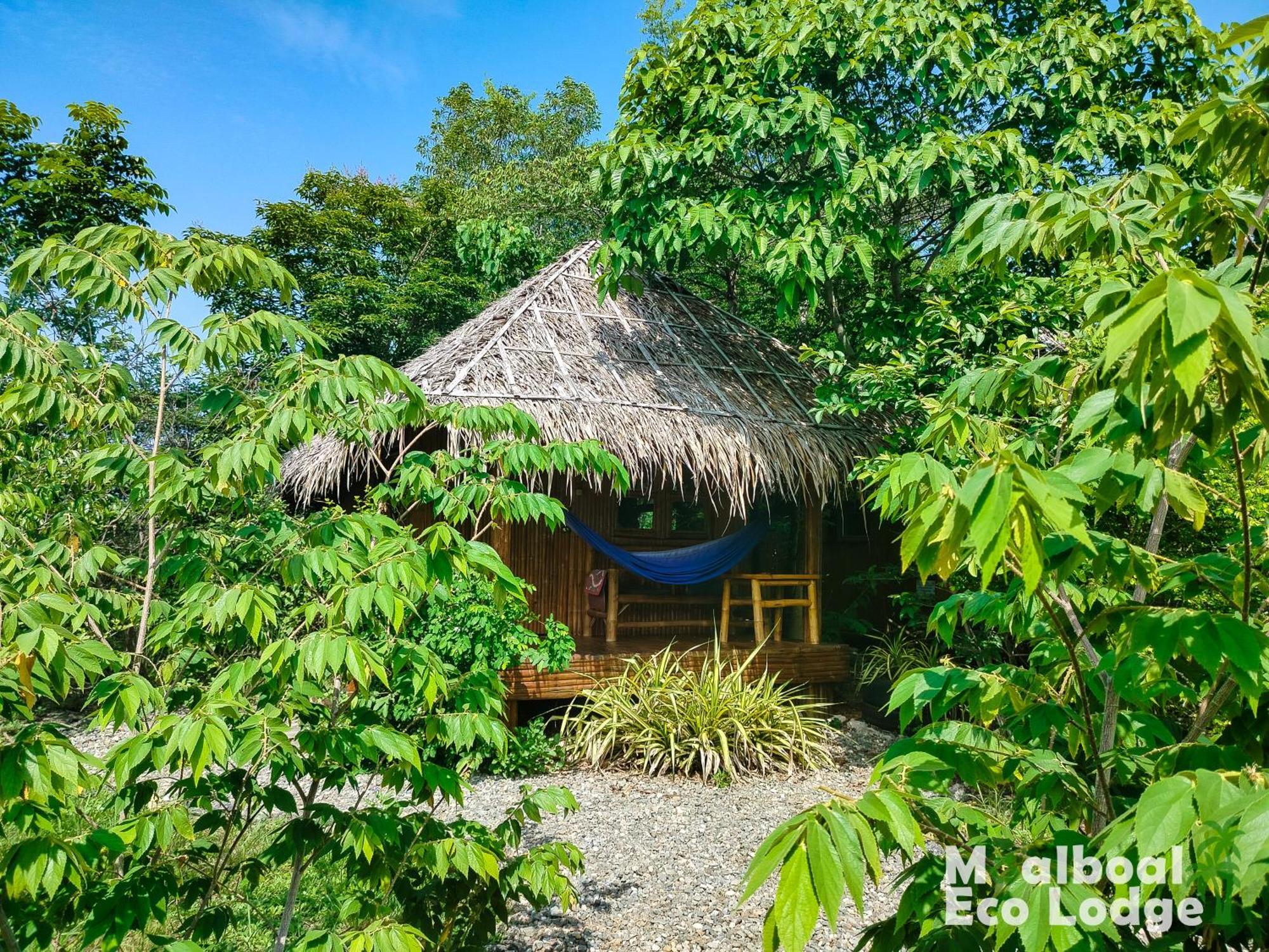 Moalboal Eco Lodge Εξωτερικό φωτογραφία